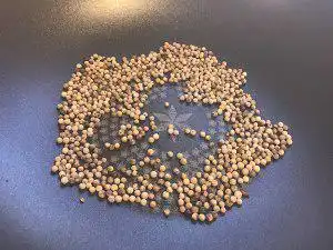 猪肚的做法