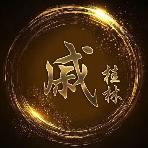 你的头像该换了,18款黑金炫光姓氏壁纸,微信头像