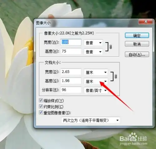 如何用ps把图片调整我们需要的大小