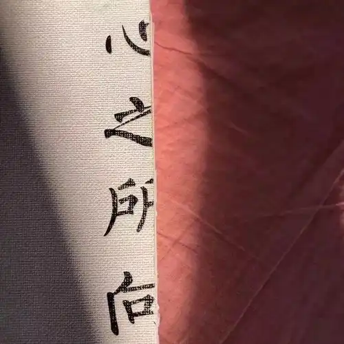 扣人心弦的书摘