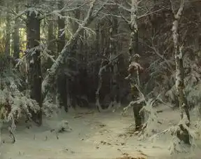 世界上最安静最美好的森林,都在他的画里