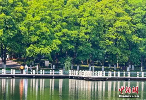 武汉东湖初夏绿意盎然2