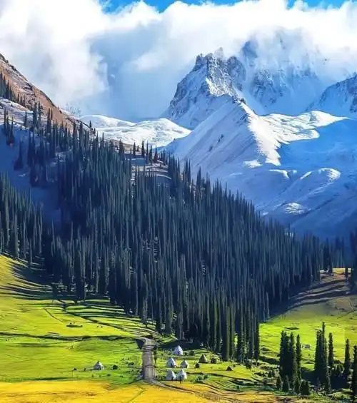 7天极致新疆之旅,深入探索伊犁美景,体验大自然的壮丽怀抱