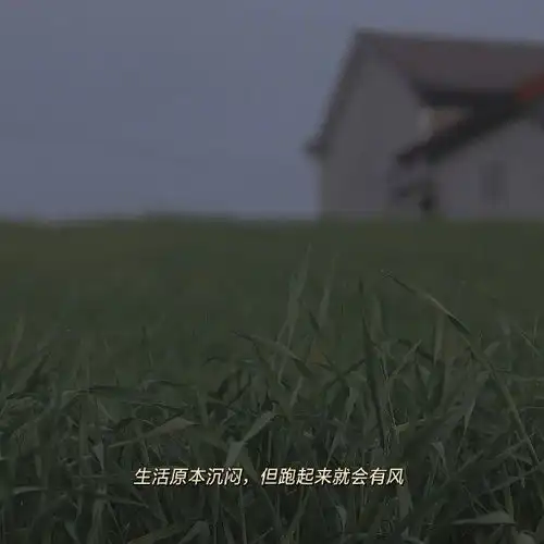 分享一些最近看到就想哭的句子