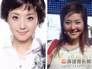 十大美女主播成长历程柳岩谢娜如何成为当家花旦