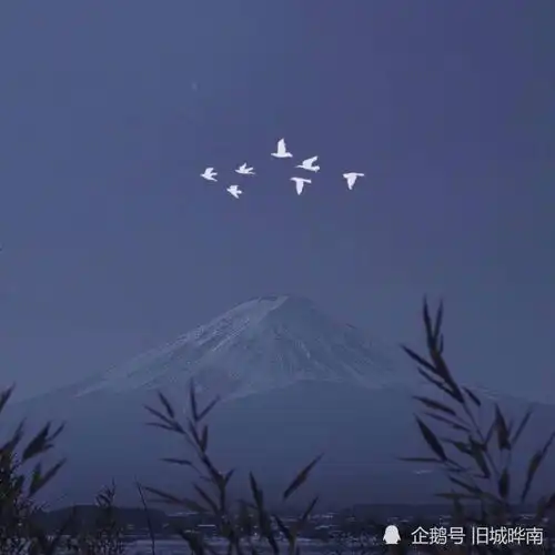 那些美好的英文文案,温柔可爱,值得收藏