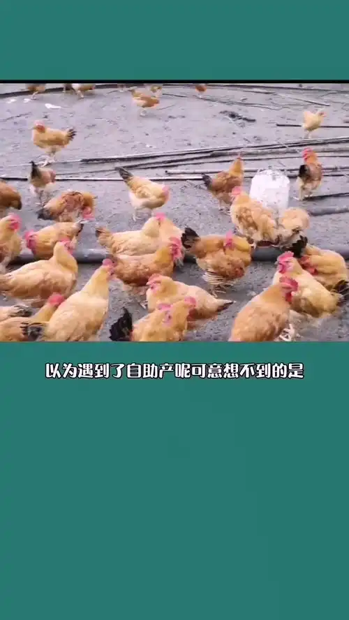 搞笑科普奇闻异事