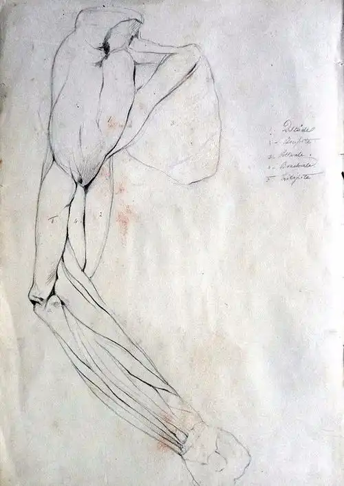 艺推意大利画家beppeciardi素描手稿作品