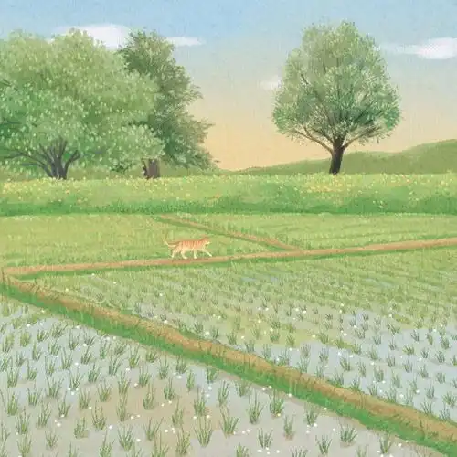 头像美图壁纸,绿意盎然的地方