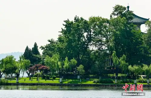 武汉东湖初夏绿意盎然4