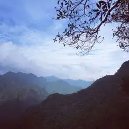 牛头山国家森林公园门票,武义牛头山国家森林公园攻略地址图片门票价格