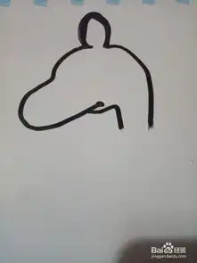 简笔画可爱的袋鼠