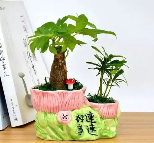 家里的花摆这儿,坏运气全找上门,破财又招灾