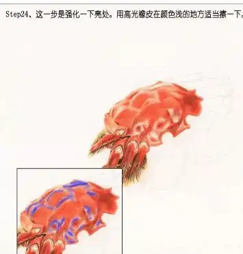 彩铅手绘入门手绘美食大闸蟹,零基础彩铅画入门教程