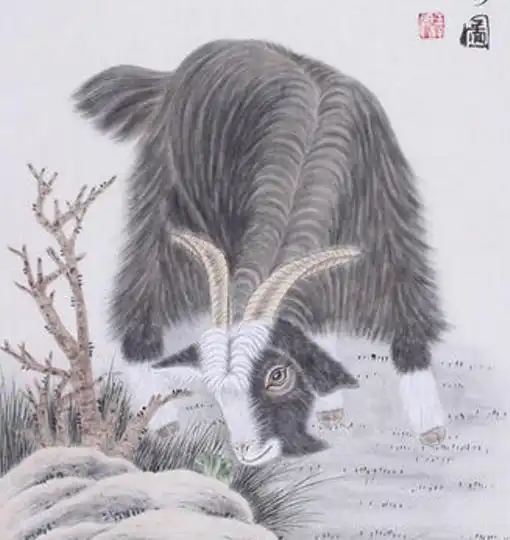 苦尽甘来唯善造羊羊人即将迎来大变化,你家有羊吗千真万确