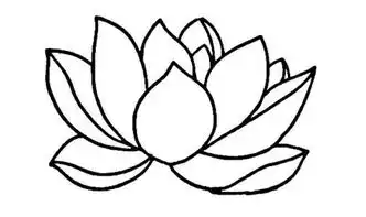 荷花简笔画