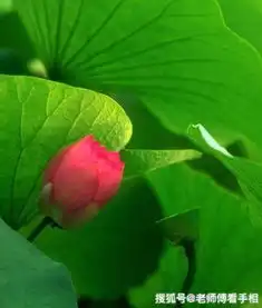 到9月运势越旺盛的生肖,顺利发财,全家生活越来越好