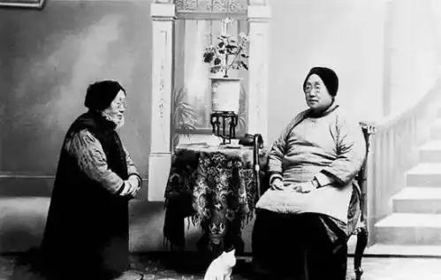 无标题