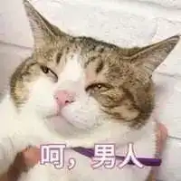 你骂别人娘炮的样子,真tm太不男人了