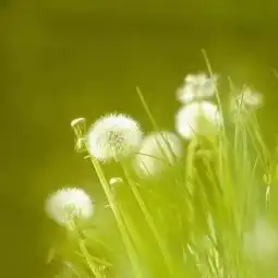 来生有约嘉宾凌云