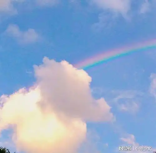 测试一个超长简介的文章