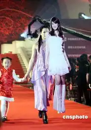 纸板人代替伊能静走红地毯