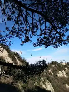 层林尽染,雪后老君山赏秋之旅