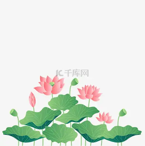 夏季植物绿植荷花荷叶素材图片免费下载千库网