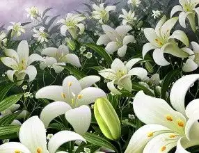 晚上失眠吃什么