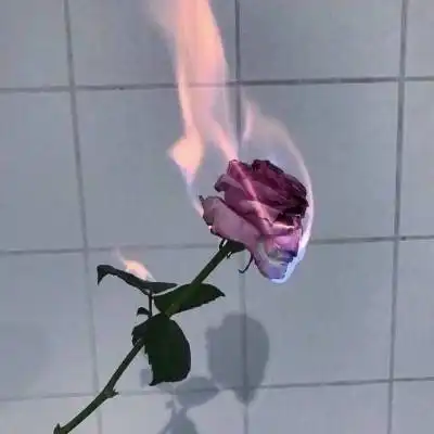 测试一个超长简介的文章