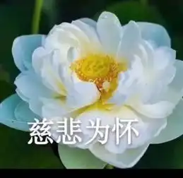 幽默搞笑段子集一个人睡到自然醒,躺在床上玩手机,生活真是美
