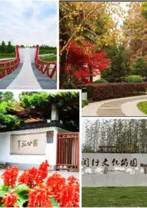 五一逛绿意盎然的闵行,享受健康绿色生活