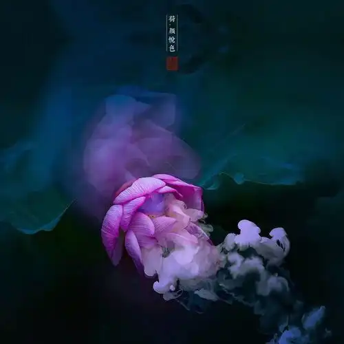 这位摄影师用多重曝光拍荷花,结果很魔幻