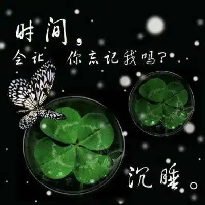幸运四叶草图片大全吉利的四叶草微信头像唯美