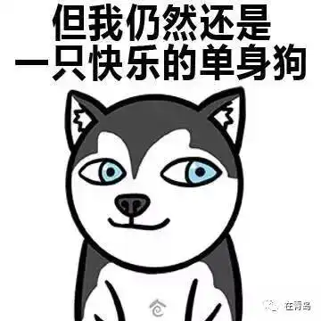 快七夕到奇葩礼物哪家强全国各地网友晒礼物要笑喷了
