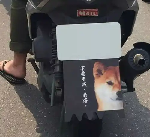 搞笑gif姑娘,下次有这种困难可以直接找我