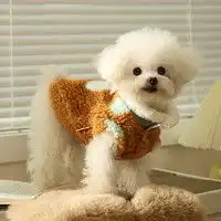 测试一个超长简介的文章