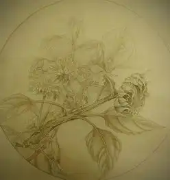 陈松岩花鸟