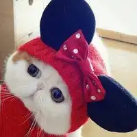 萌胖子头像卡通微信头像图片大全