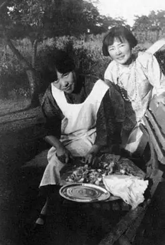 同样是民国才女,冰心与林徽因为何有着解不开的恩怨情仇