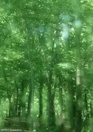 迷人景色1094迷人景色图田野风光图风景全集图库