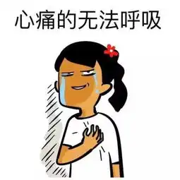 巴士活动推荐这里有一个0元环游9国的机会