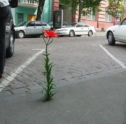 小心翼翼地经过大佬身旁