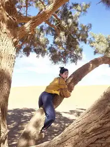 你身边一定有人,拿这两张红透宇宙的艳照做过头像