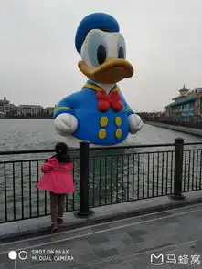 2019三天两晚亲子迪士尼全程无超过半小时的排队,热门项目刷两遍以上