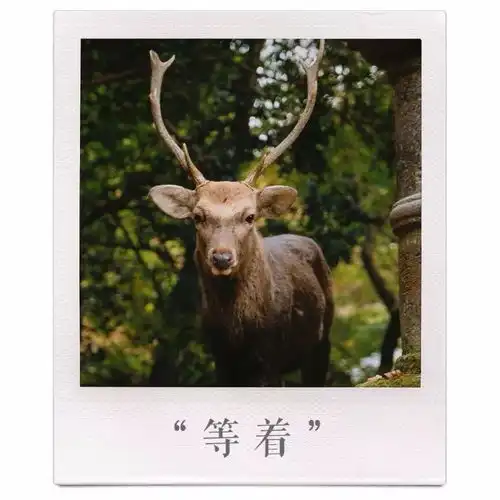 那一日,人类终于回想起了被奈良鹿精支配的恐惧
