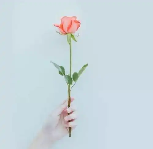 测试一个超长简介的文章