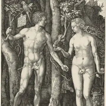 画