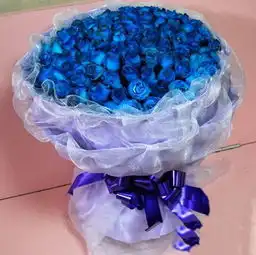 蓝色妖姬花语是什么蓝色妖姬代表什么