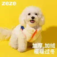 hoopet狗狗服饰hoopet猫咪衣服防掉毛小猫夏季可爱布偶春装蓝猫宠物猫猫夏天薄款春秋猫多少钱